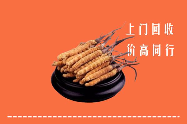 高价求购：江门江海区回收散虫草