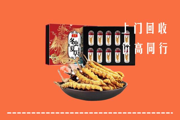 江门江海区高价回收虫草